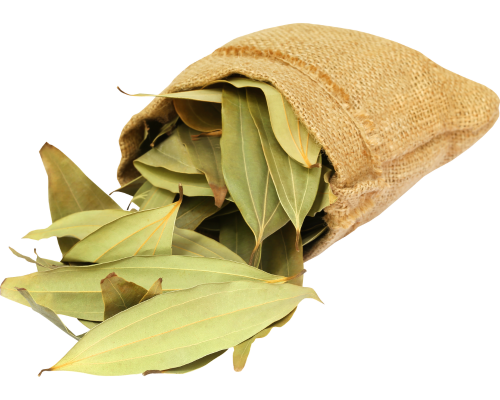bayleaf